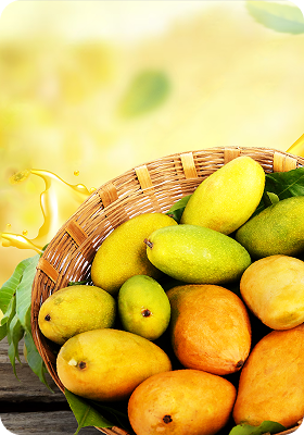 Dussheri Mangoes